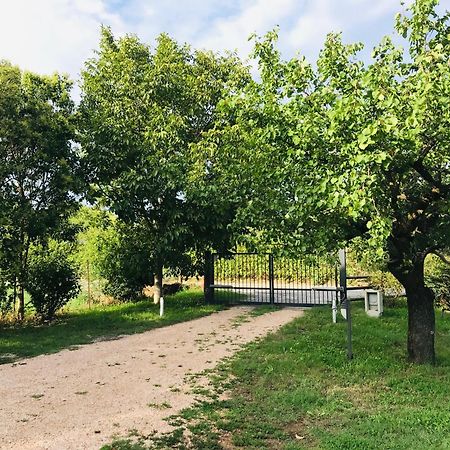 Una Casa Di Campagna Dossobuono Eksteriør billede