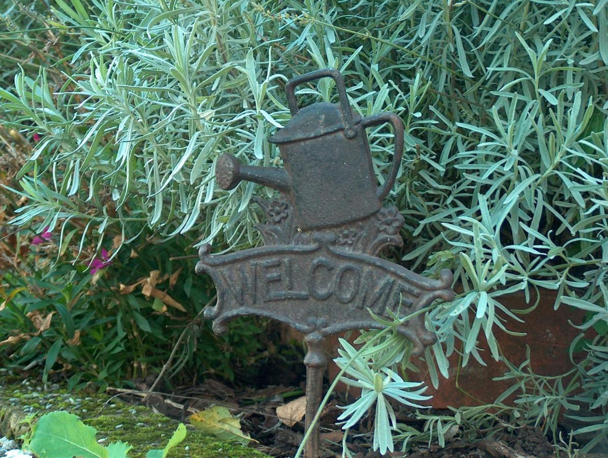 Una Casa Di Campagna Dossobuono Eksteriør billede