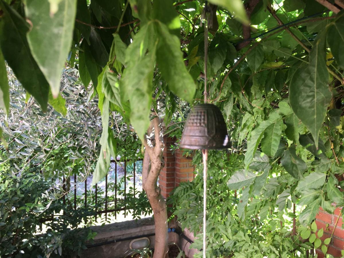 Una Casa Di Campagna Dossobuono Eksteriør billede