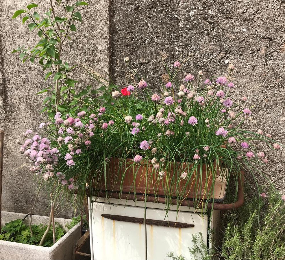 Una Casa Di Campagna Dossobuono Eksteriør billede