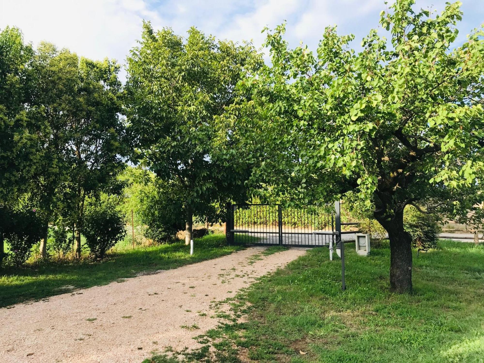 Una Casa Di Campagna Dossobuono Eksteriør billede