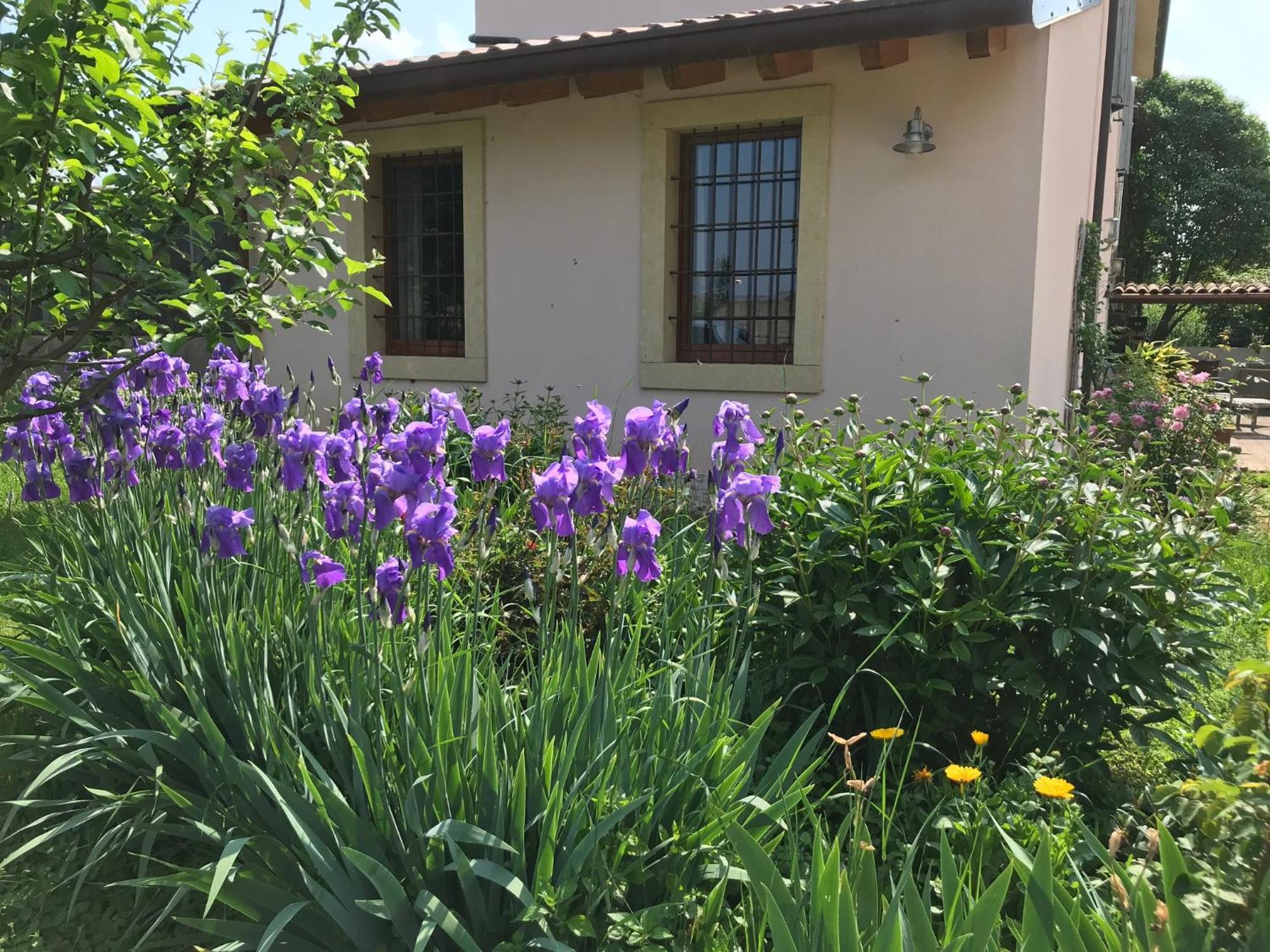 Una Casa Di Campagna Dossobuono Eksteriør billede